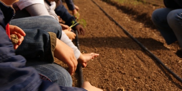 Workshops de jardinagem