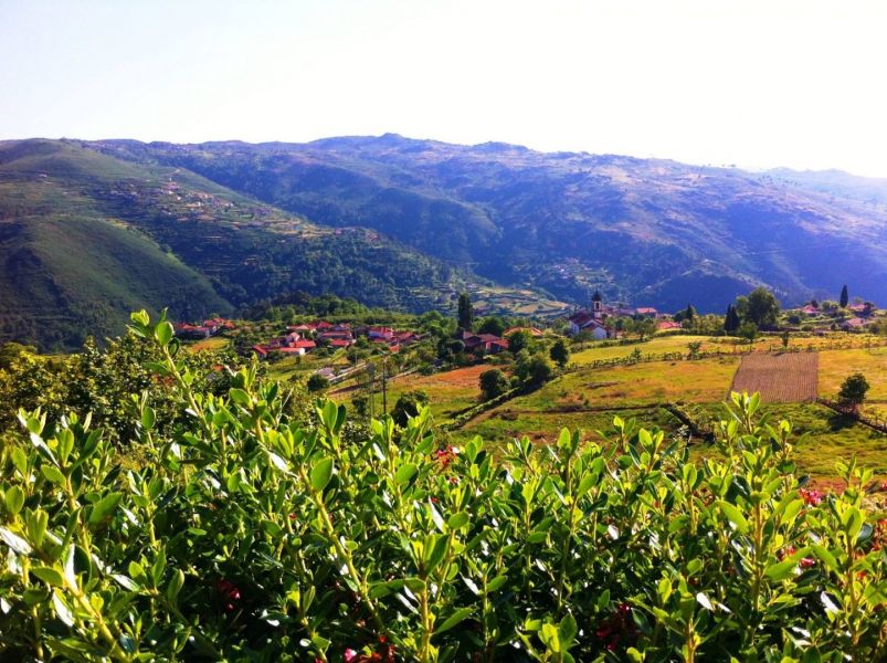 Comer e dormir em terras da cereja