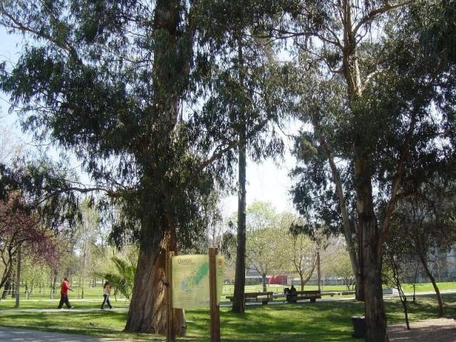 Circuitos de manutenção