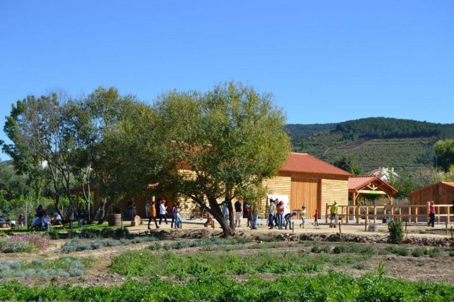 Quintas pedagógicas e parques ambientais